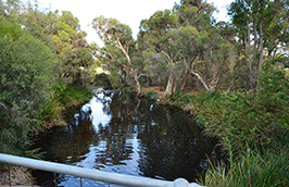 Urban Waterway Renewal Project Perth